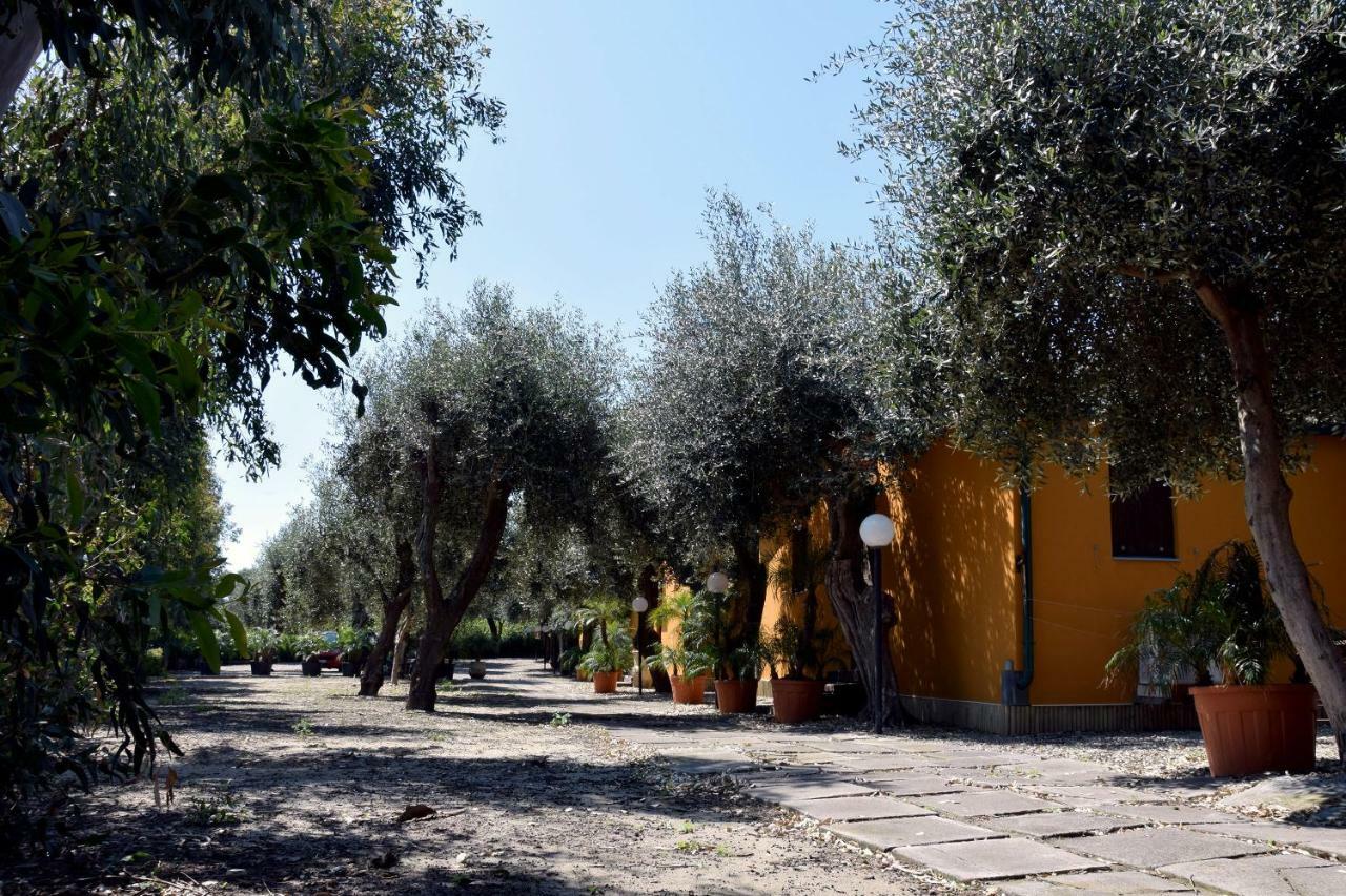 Riviera Degli Eucalipti - Cottage In Riva Al Mare Acireale Exterior photo