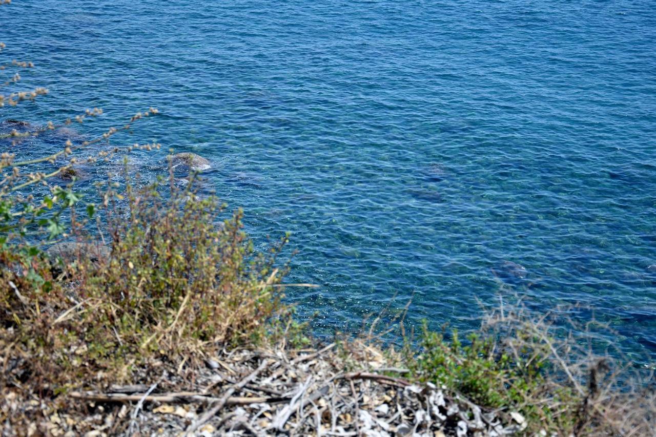 Riviera Degli Eucalipti - Cottage In Riva Al Mare Acireale Exterior photo
